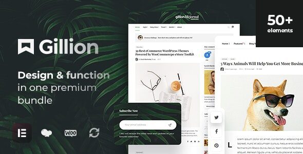 Gillion 4.11 – Multi-Concept Blog/Magazine & Shop WordPress AMP Theme